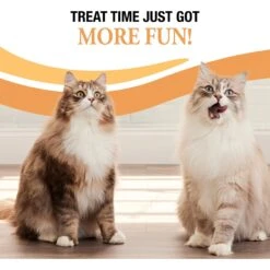 Good 'n' Tasty Savory Spoonables Chicken, Salmon & Duck Lickable Cat Treat 16 Good 'n' Tasty Savory Spoonables Chicken, Salmon & Duck Lickable Cat Treat -Almo nature Sales 953390 PT5. AC SS1800 V1698948993