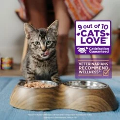 Wellness Healthy Indulgence Morsels With Chicken & Salmon In Savory Sauce Grain-Free Wet Cat Food Pouches, 3-oz, Case Of 24 12 Wellness Healthy Indulgence Morsels With Chicken & Salmon In Savory Sauce Grain-Free Wet Cat Food Pouches, 3-oz, Case Of 24 -Almo nature Sales 95720 PT2. AC SS1800 V1695821825