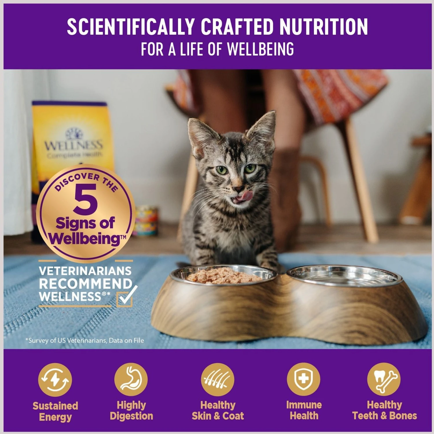 Wellness Healthy Indulgence Morsels With Chicken & Salmon In Savory Sauce Grain-Free Wet Cat Food Pouches, 3-oz, Case Of 24 6 Wellness Healthy Indulgence Morsels With Chicken & Salmon In Savory Sauce Grain-Free Wet Cat Food Pouches, 3-oz, Case Of 24 - Image 4