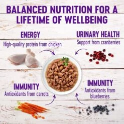 Wellness Healthy Indulgence Morsels With Chicken & Turkey In Savory Sauce Grain-Free Wet Cat Food Pouches -Almo nature Sales 95722 PT3. AC SS1800 V1621990357