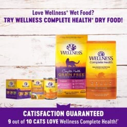 Wellness Healthy Indulgence Morsels With Chicken & Turkey In Savory Sauce Grain-Free Wet Cat Food Pouches -Almo nature Sales 95722 PT4. AC SS1800 V1621984037