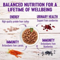 Wellness Healthy Indulgence Morsels With Turkey & Duck In Savory Sauce Grain-Free Wet Cat Food Pouches -Almo nature Sales 95729 PT3. AC SS1800 V1621989196