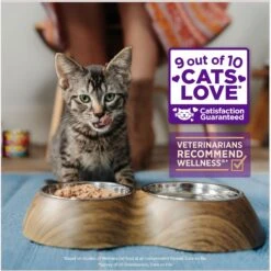Wellness Healthy Indulgence Shreds With Skipjack Tuna & Shrimp In Light Sauce Grain-Free Wet Cat Food Pouches -Almo nature Sales 95733 PT2. AC SS1800 V1695837175