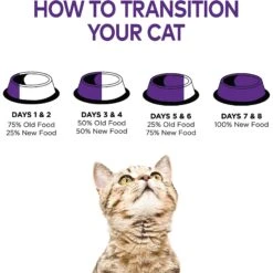Wellness Healthy Indulgence Shreds With Skipjack Tuna & Shrimp In Light Sauce Grain-Free Wet Cat Food Pouches -Almo nature Sales 95733 PT8. AC SS1800 V1510611596