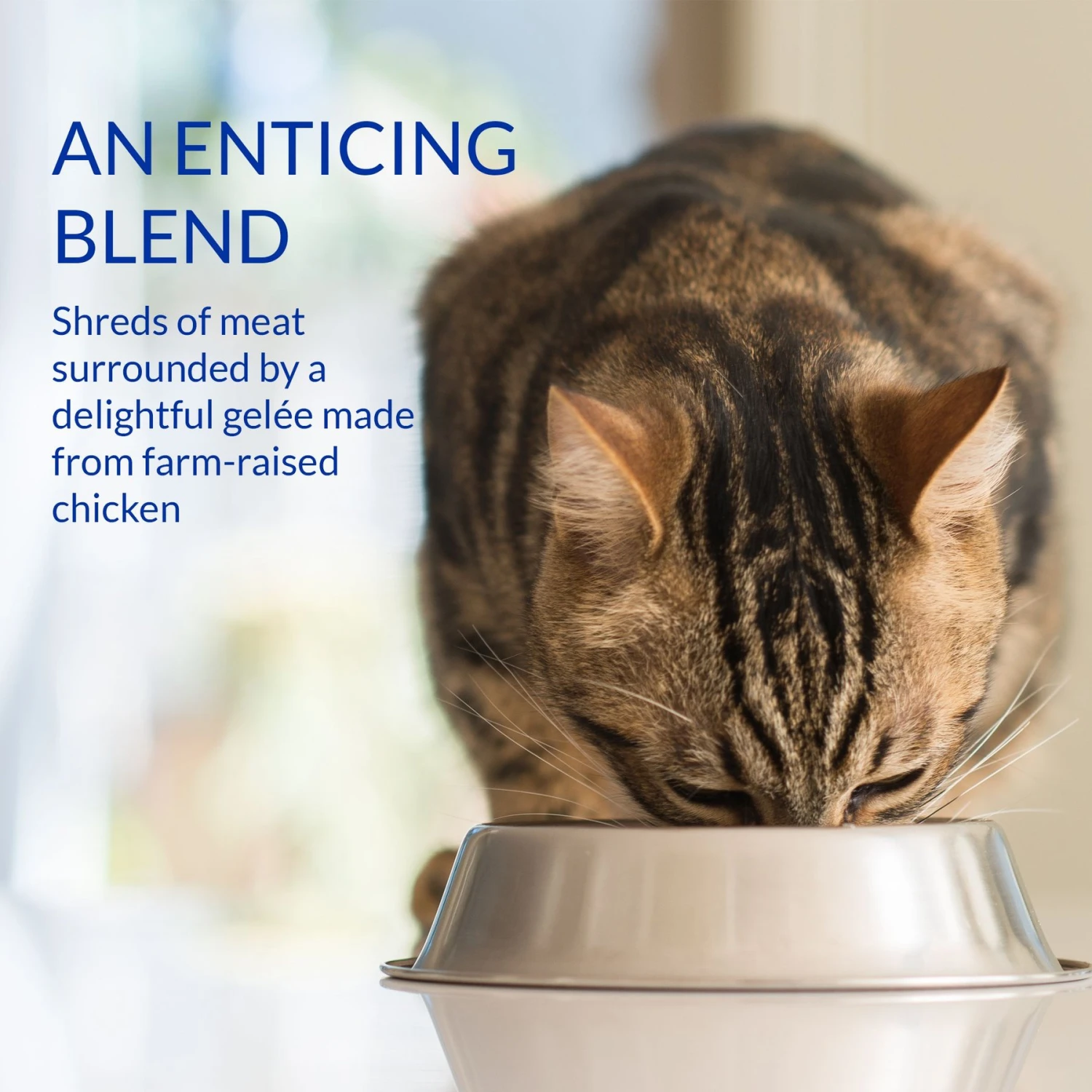 Inaba Chicken Variety Pack Lickable Cat Treat, 1.4-oz Tube, 12 Count 9 Inaba Chicken Variety Pack Lickable Cat Treat, 1.4-oz Tube, 12 Count - Image 7