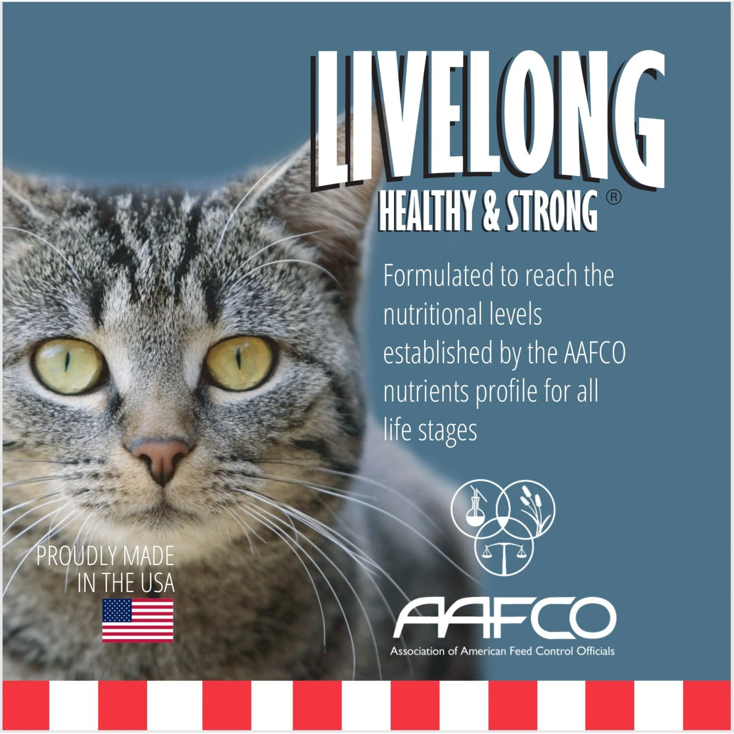 Livelong Healthy & Strong Yummy Seafood Wet Cat Food, 5.5-oz Can, 24 Count 4 Livelong Healthy & Strong Yummy Seafood Wet Cat Food, 5.5-oz Can, 24 Count - Image 2