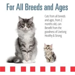 Livelong Healthy & Strong Yummy Seafood Wet Cat Food, 5.5-oz Can, 24 Count 11 Livelong Healthy & Strong Yummy Seafood Wet Cat Food, 5.5-oz Can, 24 Count -Almo nature Sales 964174 PT3. AC SS1800 V1697117690