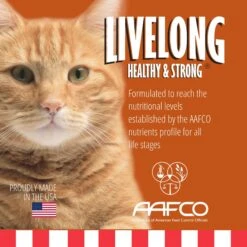 Livelong Healthy & Strong Yummy Turducken Wet Cat Food, 5.5-oz Can, 24 Count -Almo nature Sales 964190 PT1. AC SS1800 V1697119855