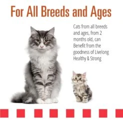 Livelong Healthy & Strong Yummy Turducken Wet Cat Food, 5.5-oz Can, 24 Count -Almo nature Sales 964190 PT3. AC SS1800 V1697117316