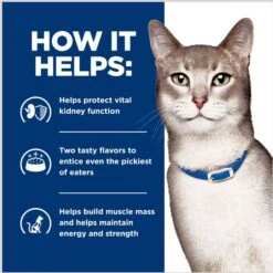 Hill's Prescription Diet K/d Kidney Care Stew Variety Pack Wet Cat Food, 2.9-oz Can, Case Of 24 -Almo nature Sales 967646 PT5. AC SS1800 V1696615400