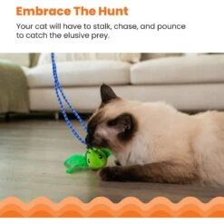 Catstages Tail Teaser Ground Prey Play Wand Cat Toy, Green -Almo nature Sales 976182 PT3. AC SS1800 V1696615522