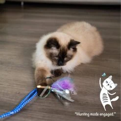 Catstages Tail Teaser Air Prey Play Wand Cat Toy, Blue -Almo nature Sales 976214 PT7. AC SS1800 V1696615403