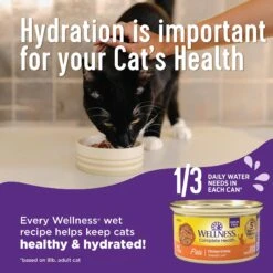 Wellness Complete Health Chicken & Turkey Lovers Gravies & Minced Variety Pack Grain-Free Wet Cat Food, 3-oz Can, Case Of 12 -Almo nature Sales 984662 PT3. AC SS1800 V1699642706