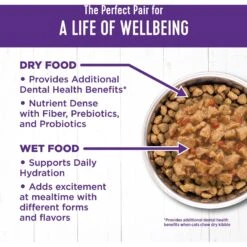 Wellness Complete Health Chicken & Turkey Lovers Gravies & Minced Variety Pack Grain-Free Wet Cat Food, 3-oz Can, Case Of 12 -Almo nature Sales 984662 PT5. AC SS1800 V1699642704