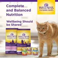 Wellness Complete Health Chicken & Turkey Lovers Gravies & Minced Variety Pack Grain-Free Wet Cat Food, 3-oz Can, Case Of 12 -Almo nature Sales 984662 PT7. AC SS1800 V1699642704