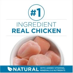 Fancy Feast Senior 7+ Chicken, Beef & Tuna Feasts Variety Pack Canned Cat Food & Purina ONE Indoor Advantage Senior 7+ High Protein Natural Dry Cat Food -Almo nature Sales 986446 PT8. AC SS1800 V1698672268