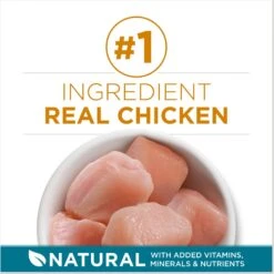 Purina ONE Tender Selects Blend With Real Chicken Dry Cat Food & Purina ONE True Instinct Turkey, Chicken & Tuna Variety Pack Canned Cat Food -Almo nature Sales 986462 PT4. AC SS1800 V1698672267