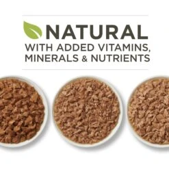 Purina ONE Tender Selects Blend With Real Chicken Dry Cat Food & Purina ONE True Instinct Turkey, Chicken & Tuna Variety Pack Canned Cat Food -Almo nature Sales 986462 PT7. AC SS1800 V1698672723