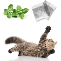 Pet Fit For Life Floppy Fish Cat Toy, Multicolor, Medium, 2 Count -Almo nature Sales 987118 PT4. AC SS1800 V1699648333